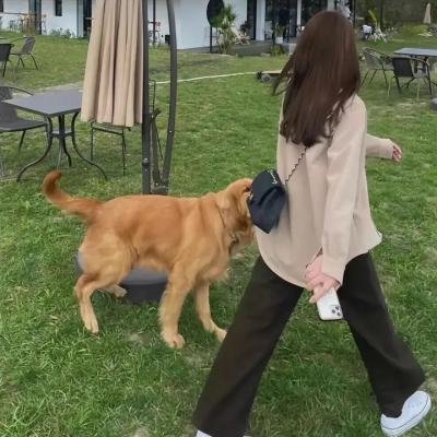 女孩爱跑步